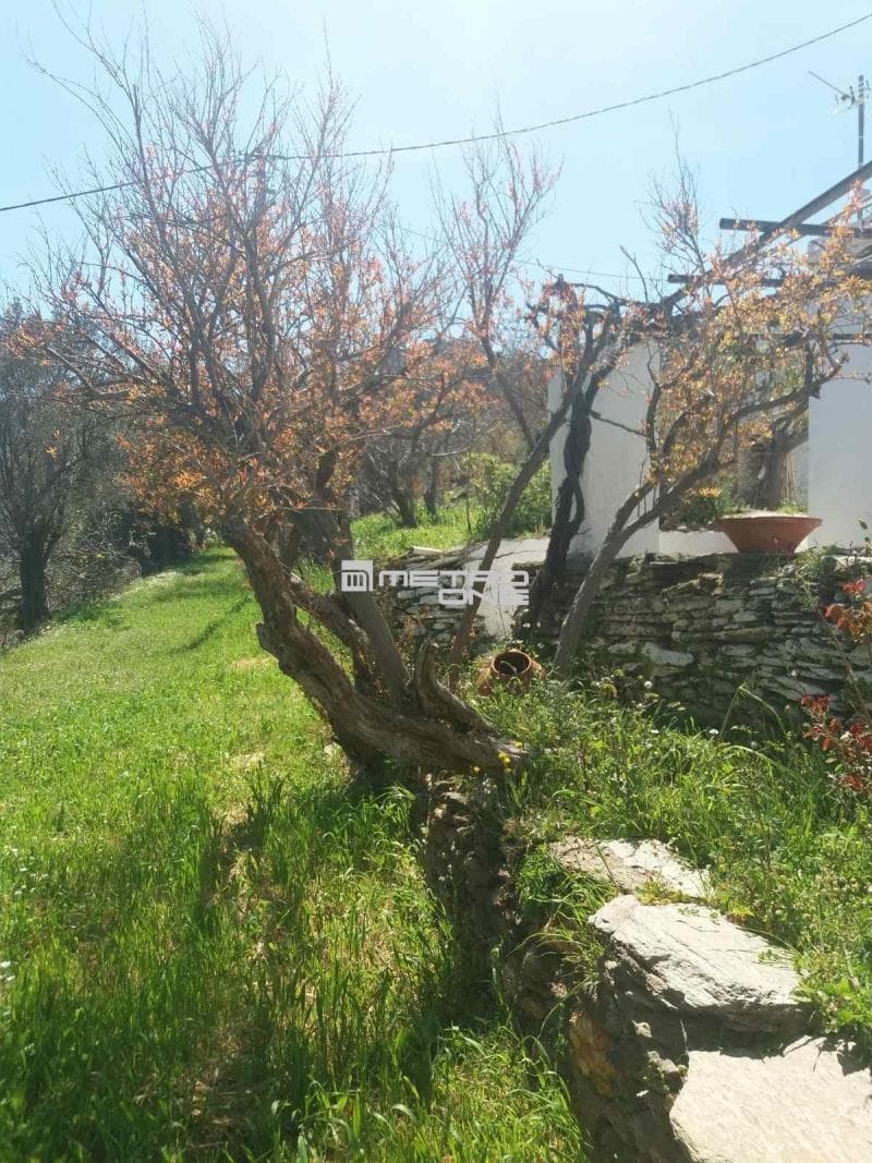 Μονοκατοικία στην Άνω Απρόβατο, Άνδρος — Φωτογραφία 23 από 30