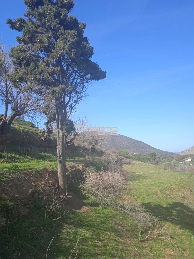 Μονοκατοικία στην Άνω Απρόβατο, Άνδρος — Φωτογραφία 27 από 30