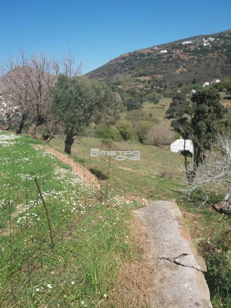 Μονοκατοικία στην Άνω Απρόβατο, Άνδρος — Φωτογραφία 2 από 30