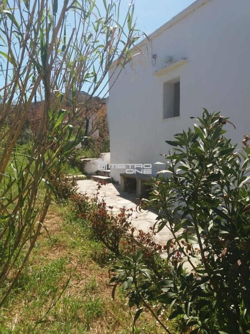 Μονοκατοικία στην Άνω Απρόβατο, Άνδρος — Φωτογραφία 30 από 30