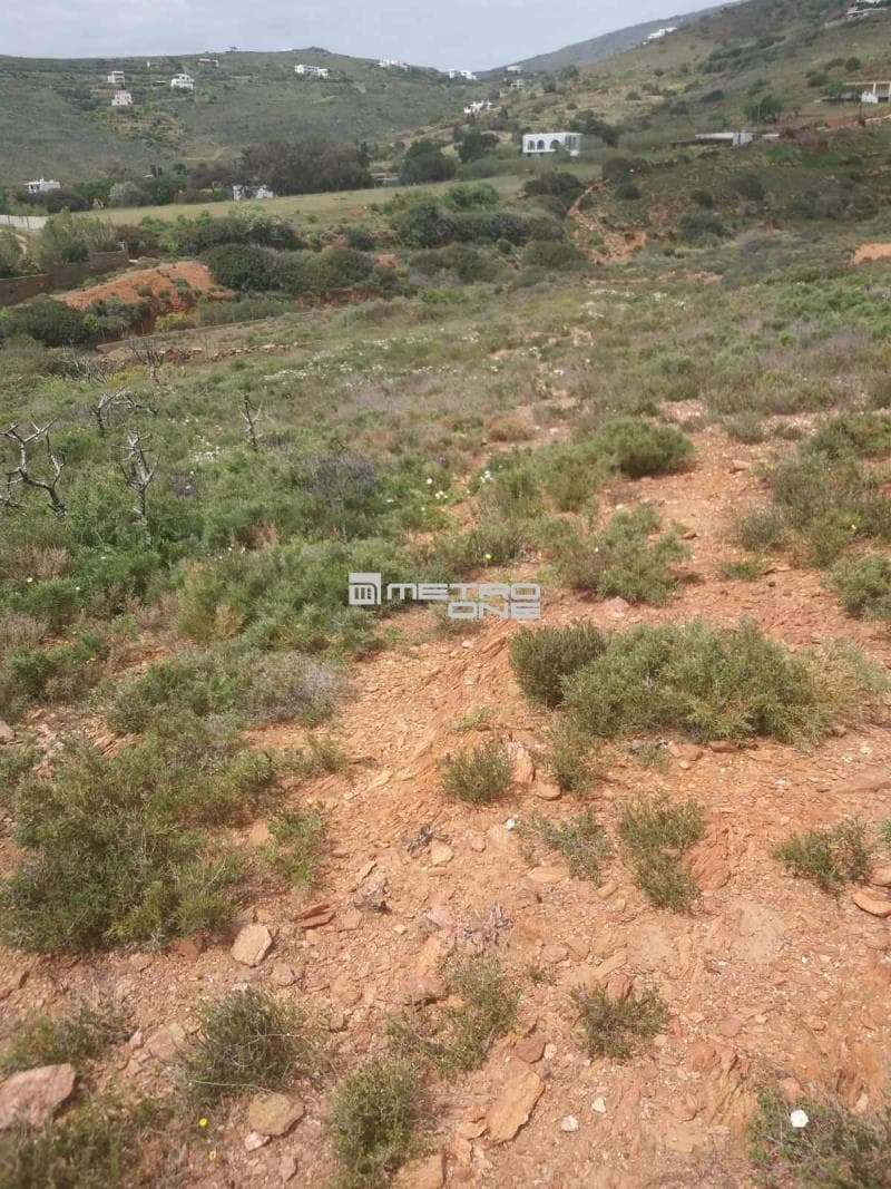 Parcel in Ano Gavrio, Andros — Photo 3 of 25