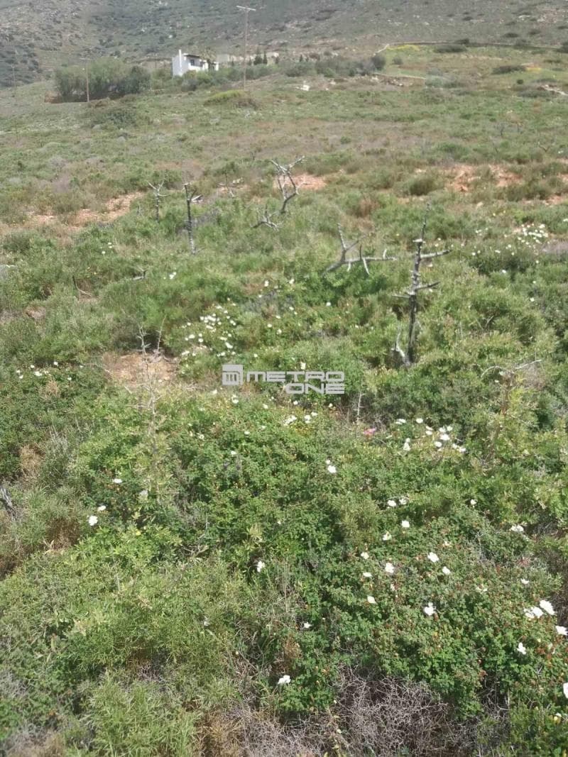 Parcel in Ano Gavrio, Andros — Photo 5 of 25