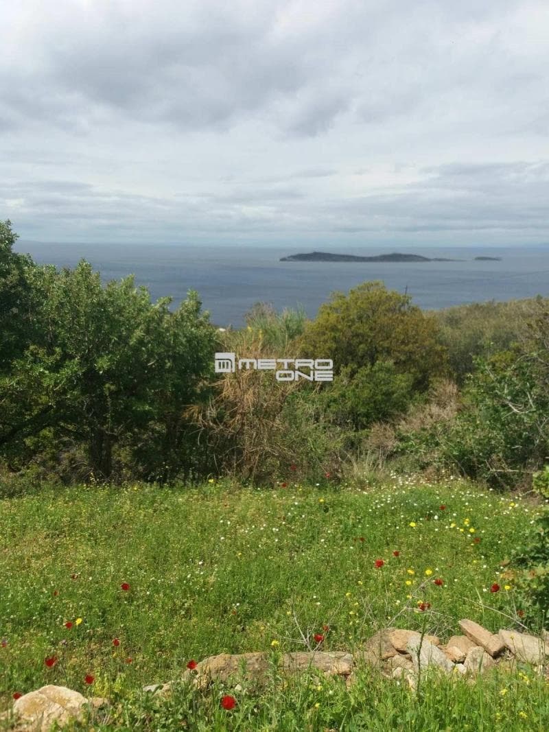 Parcel in Ano Aprovato, Andros — Photo 9 of 20
