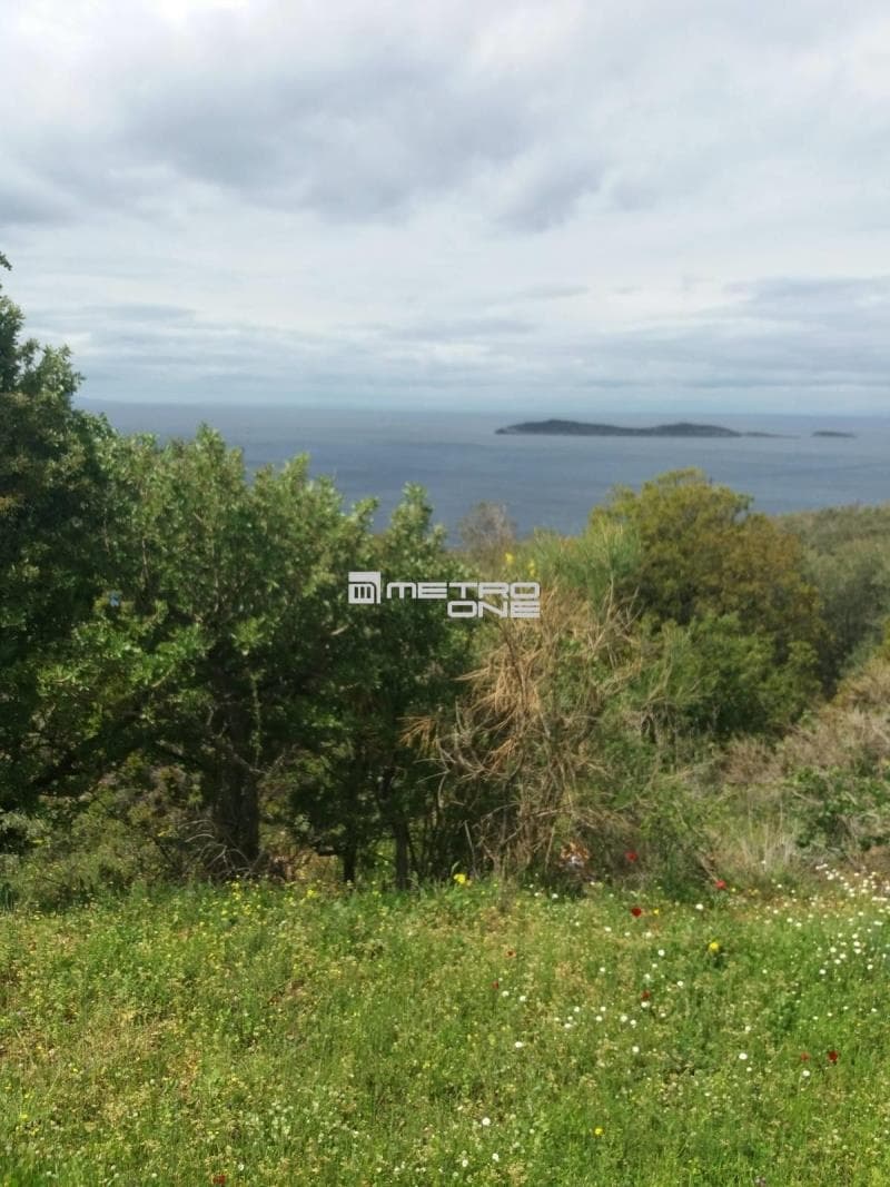 Parcel in Ano Aprovato, Andros — Photo 10 of 20