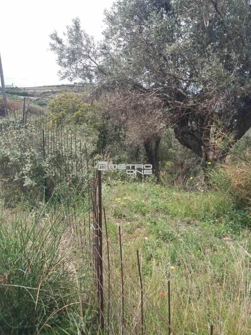 Parcel in Ano Aprovato, Andros — Photo 11 of 20
