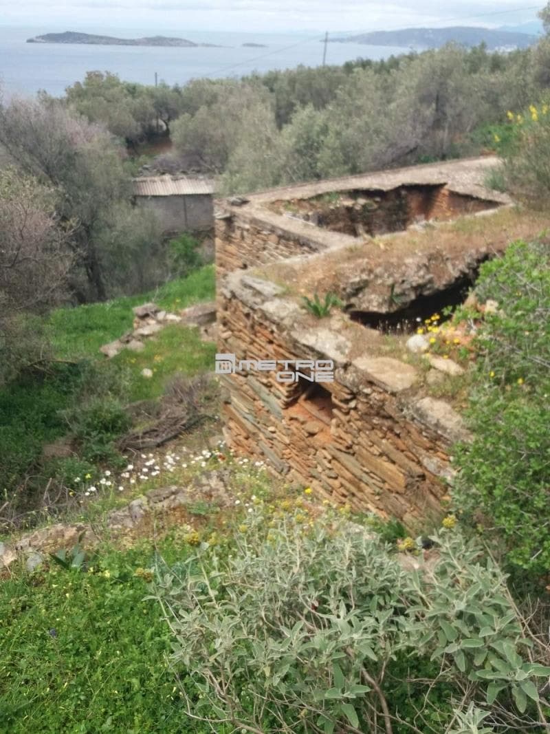 Parcel in Ano Aprovato, Andros — Photo 12 of 20