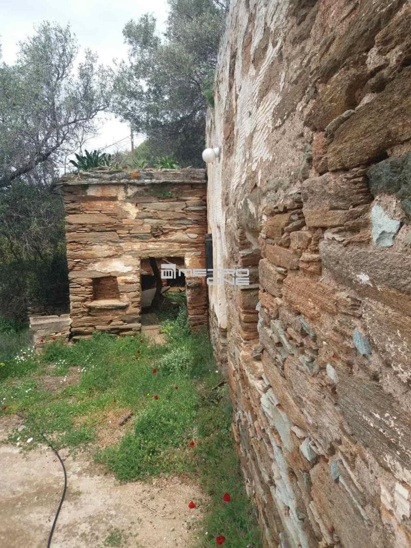 Parcel in Ano Aprovato, Andros — Photo 15 of 20