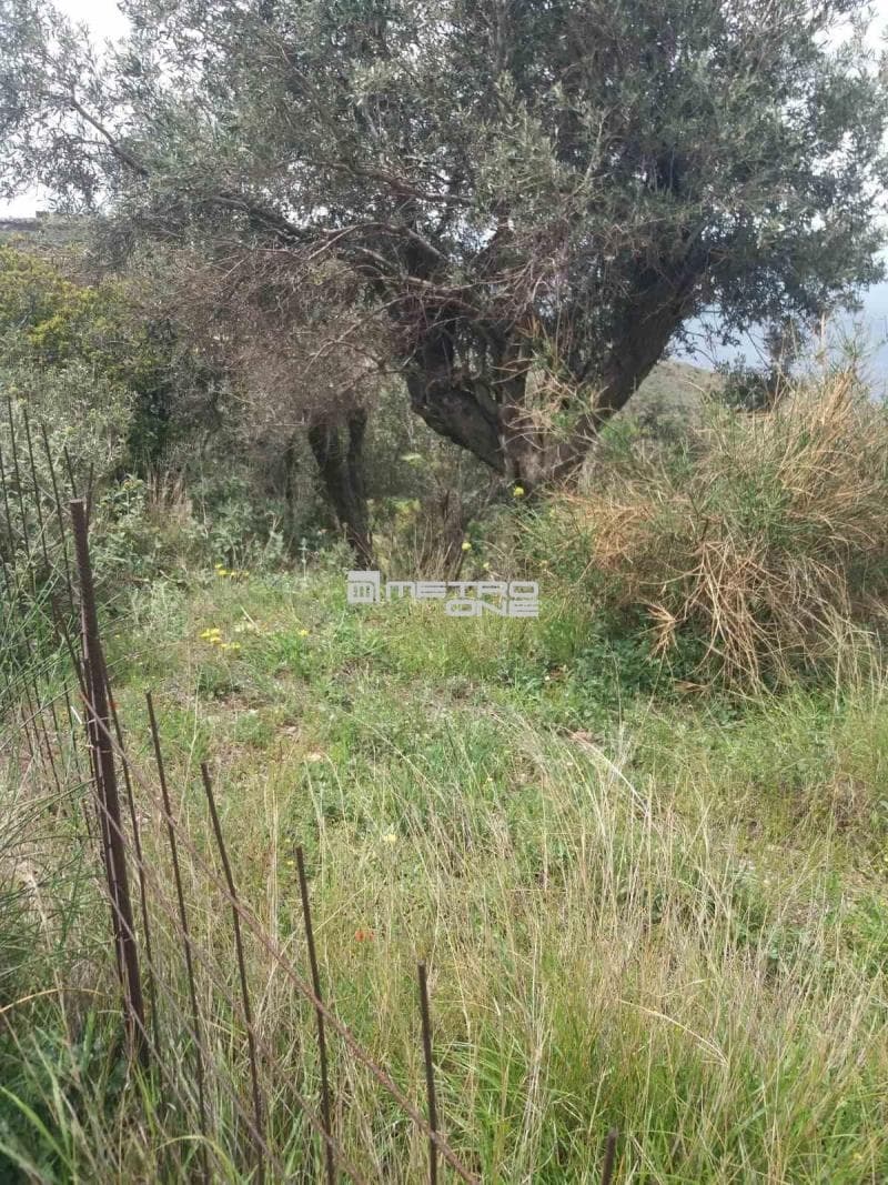 Parcel in Ano Aprovato, Andros — Photo 16 of 20