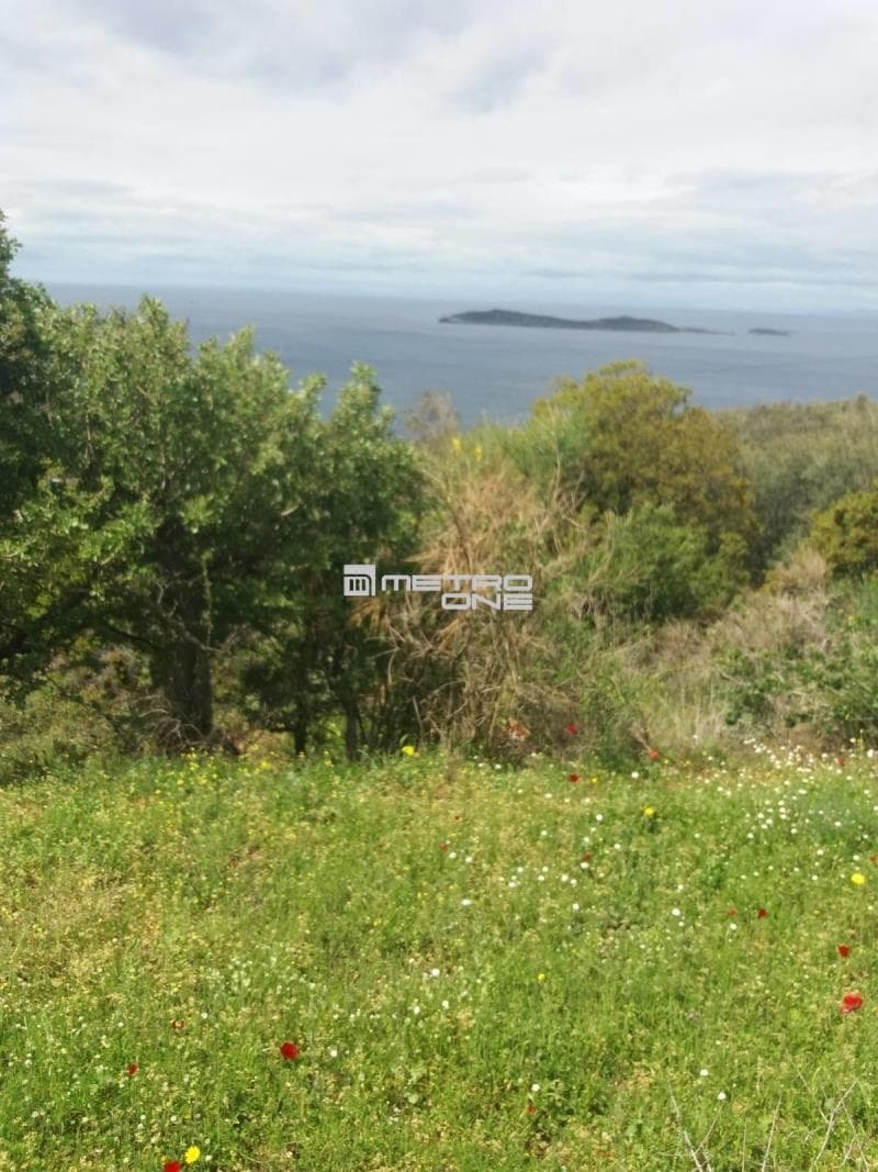 Parcel in Ano Aprovato, Andros — Photo 17 of 20