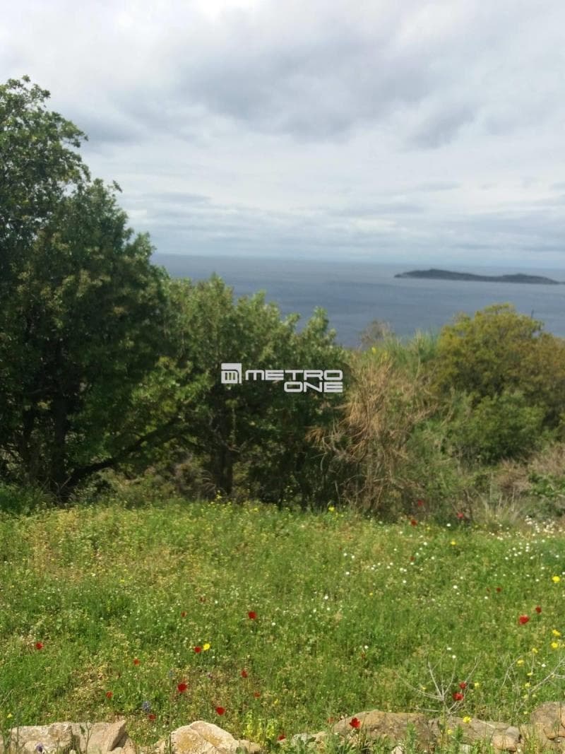 Parcel in Ano Aprovato, Andros — Photo 19 of 20