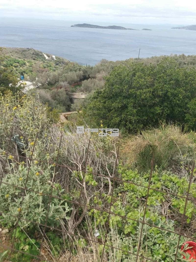 Parcel in Ano Aprovato, Andros — Photo 20 of 20