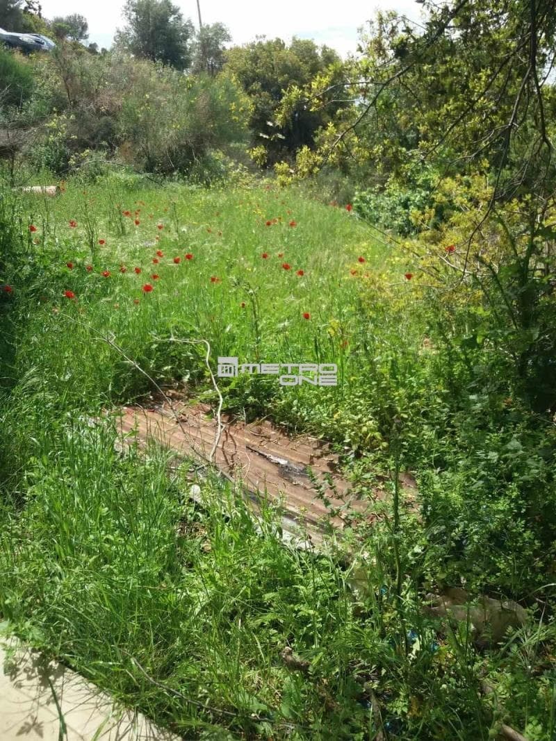 Parcel in Ano Aprovato, Andros — Photo 6 of 20