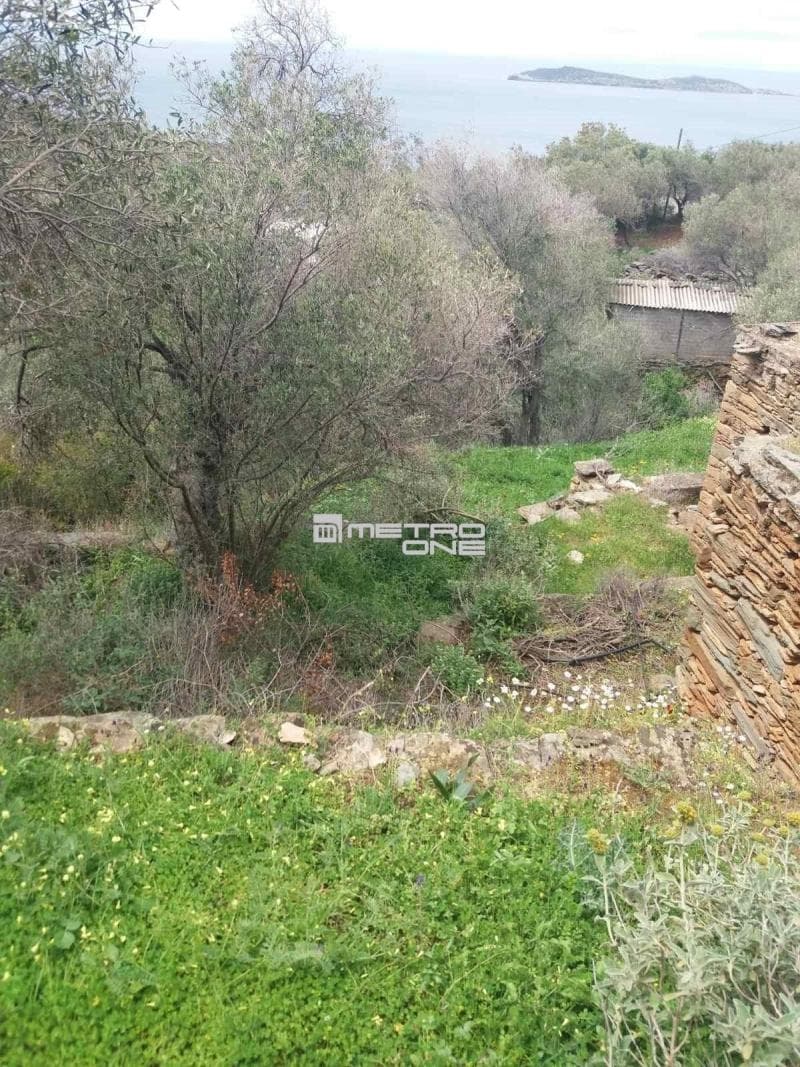 Parcel in Ano Aprovato, Andros — Photo 7 of 20