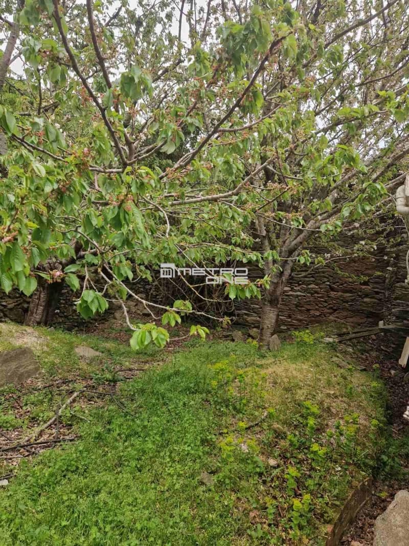 Parcel in Ano Aprovato, Andros — Photo 5 of 9
