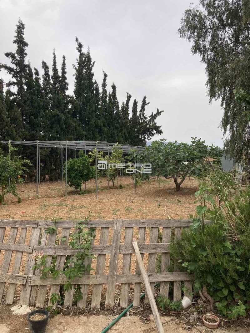 House in Markopoulo, Markopoulo — Photo 9 of 30