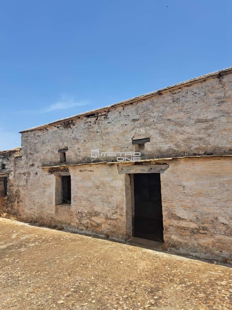 Building Plot in Mpatsi, Andros — Photo 8 of 10