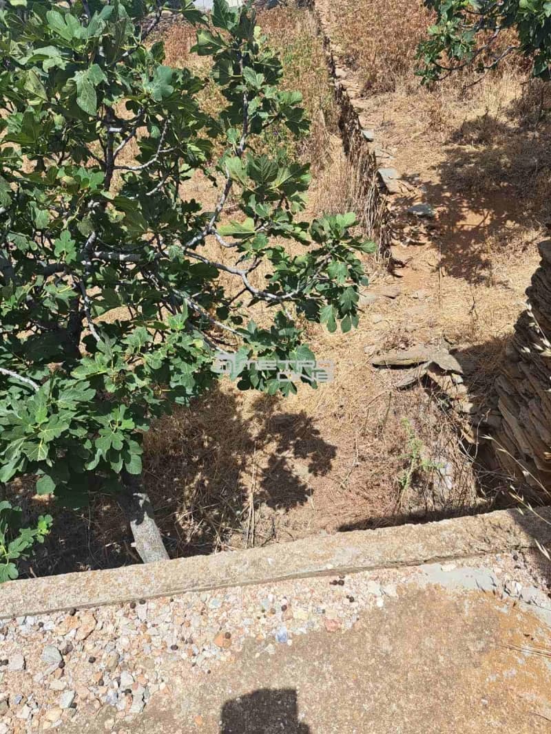 Building Plot in Mpatsi, Andros — Photo 10 of 10