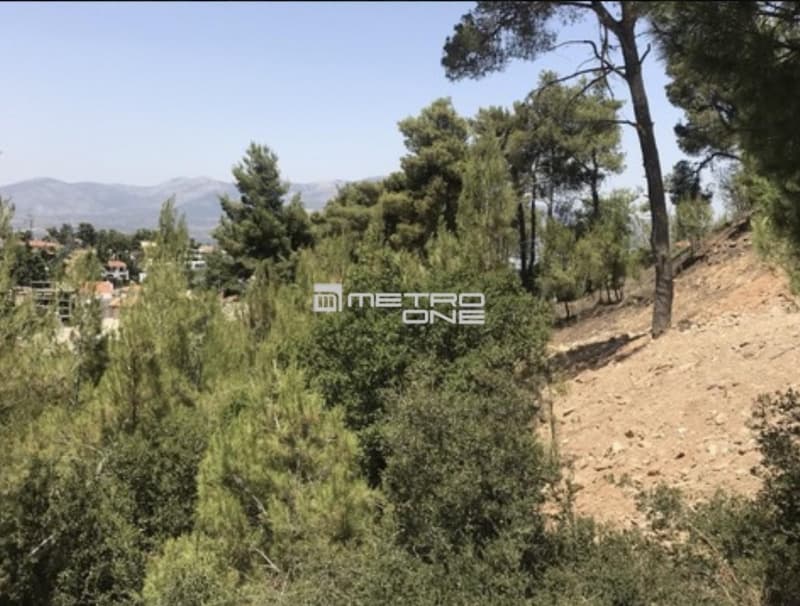 Building Plot in Rodopoli, Rodopoli — Photo 2 of 2