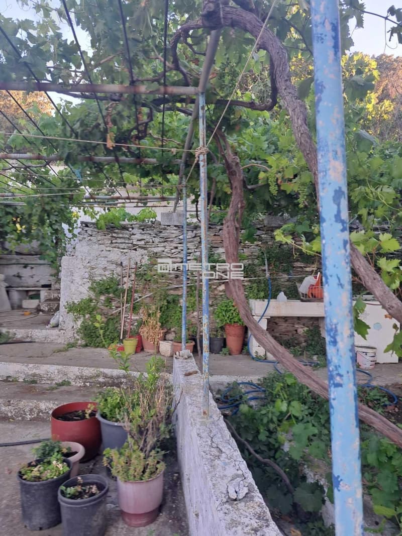 Μονοκατοικία στην Αλαδινό, Άνδρος — Φωτογραφία 12 από 30
