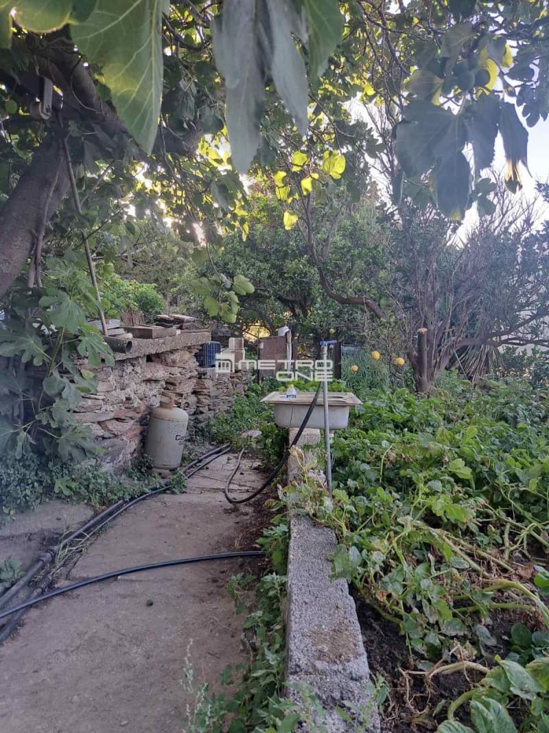 Μονοκατοικία στην Αλαδινό, Άνδρος — Φωτογραφία 13 από 30