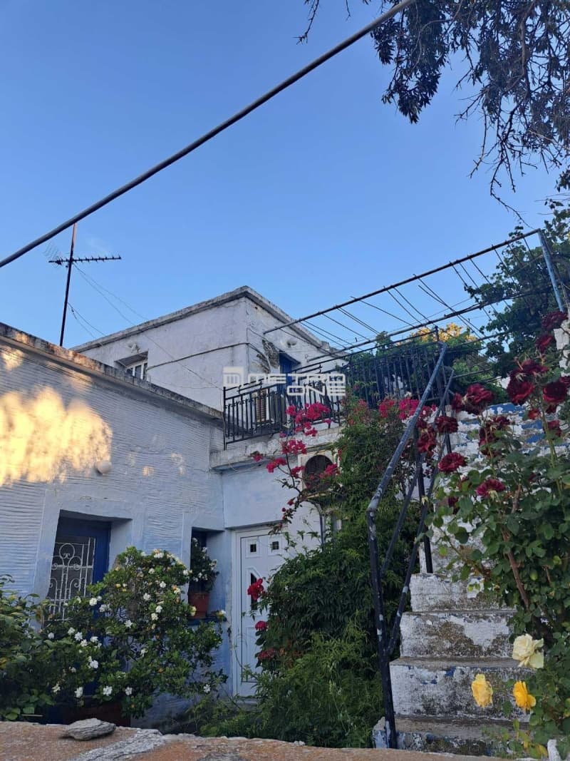 Μονοκατοικία στην Αλαδινό, Άνδρος — Φωτογραφία 10 από 30