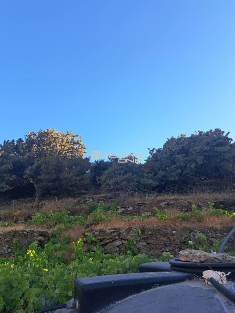 Μονοκατοικία στην Αλαδινό, Άνδρος — Φωτογραφία 22 από 30