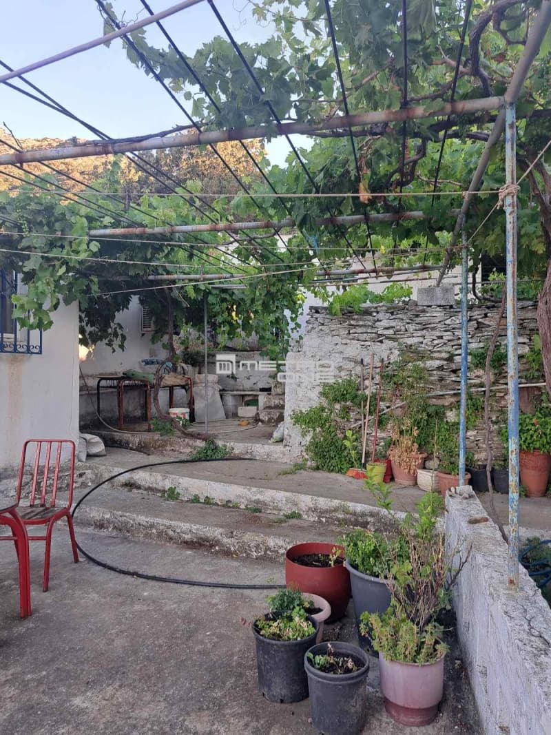 Μονοκατοικία στην Αλαδινό, Άνδρος — Φωτογραφία 14 από 30