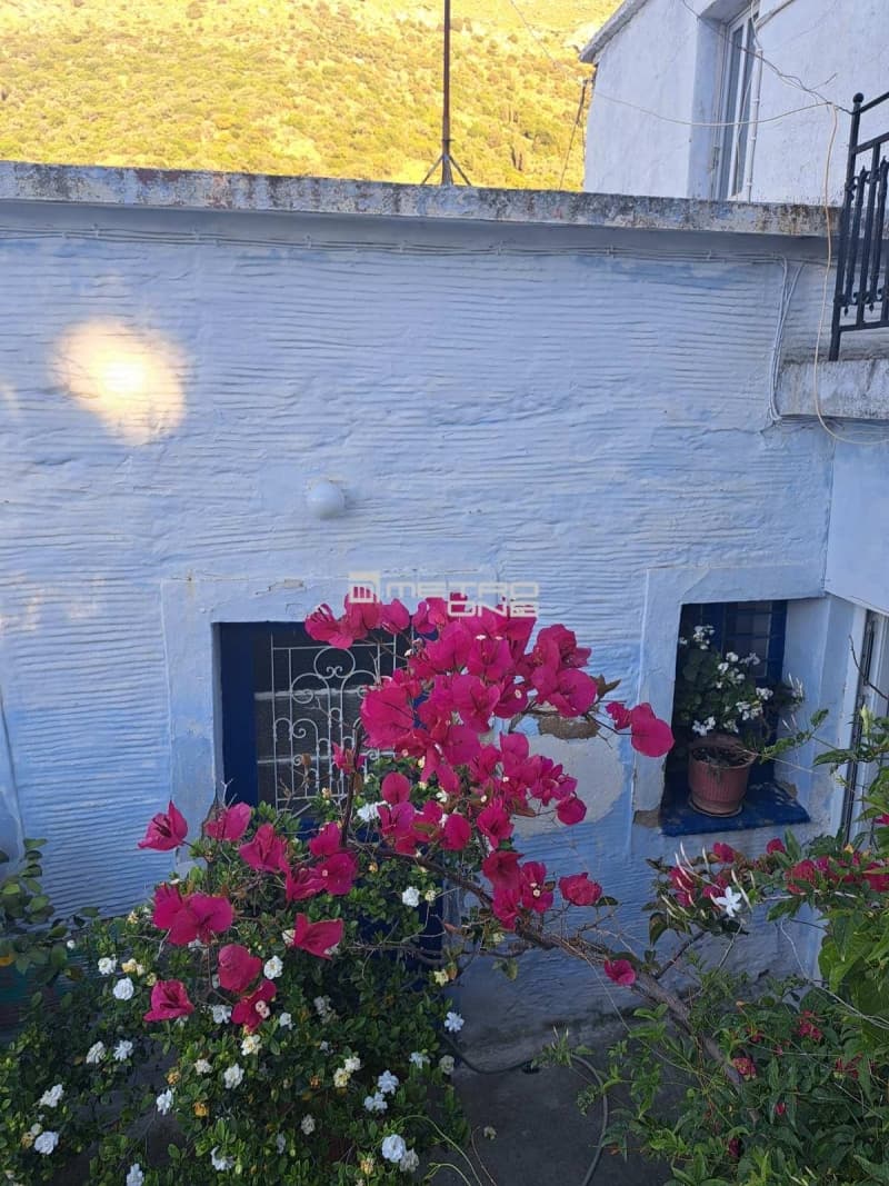 Μονοκατοικία στην Αλαδινό, Άνδρος — Φωτογραφία 16 από 30