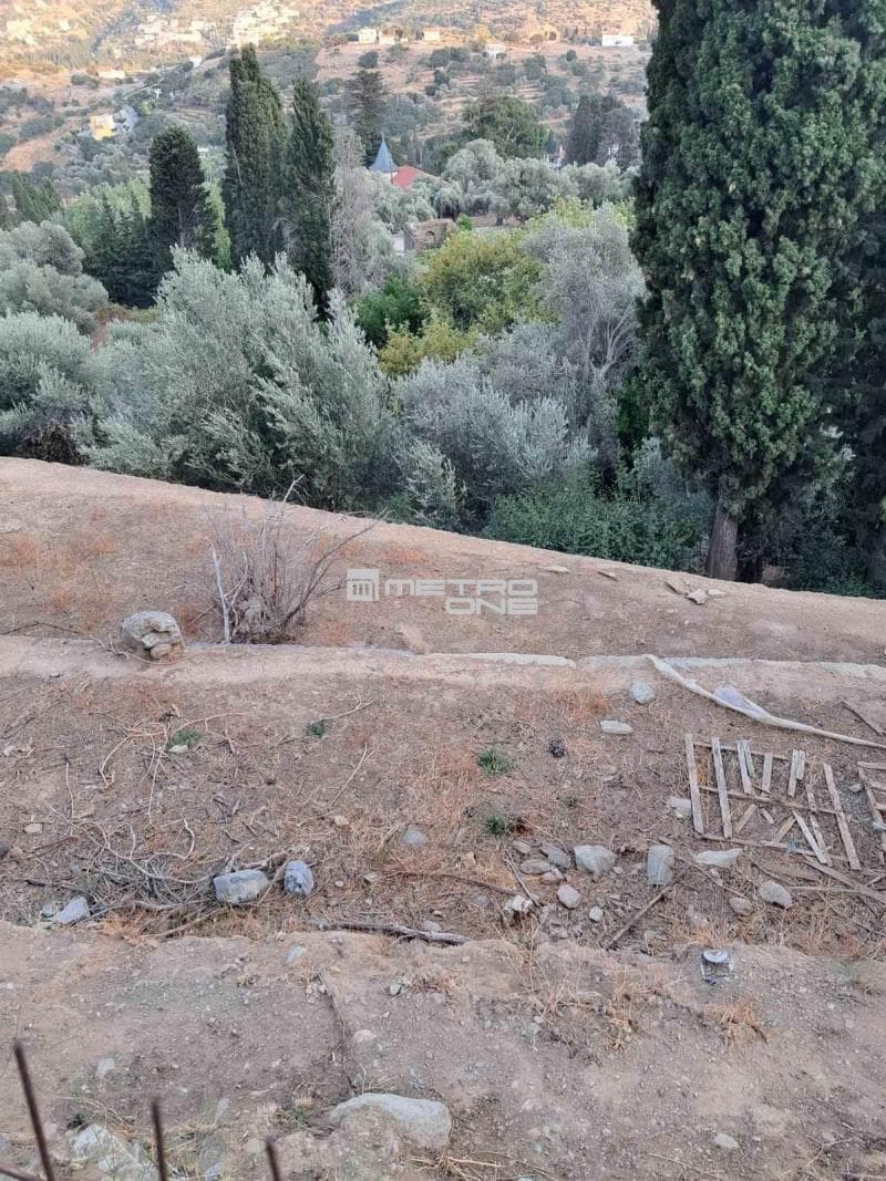Building Plot in Lamira, Andros — Photo 10 of 18