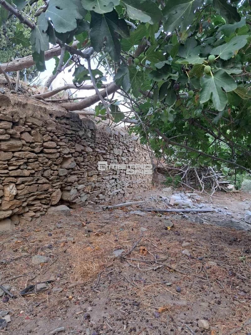 Building Plot in Lamira, Andros — Photo 14 of 18