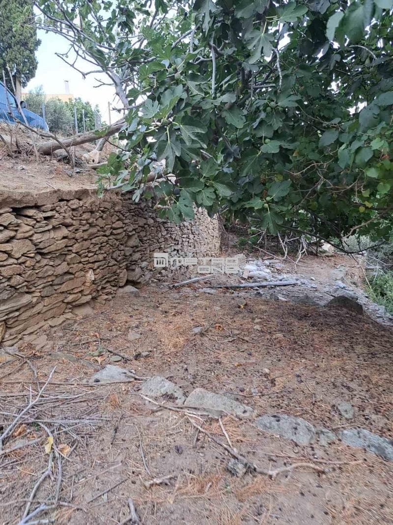 Building Plot in Lamira, Andros — Photo 15 of 18