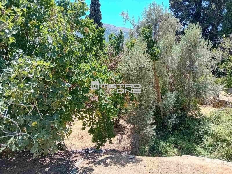 Building Plot in Lamira, Andros — Photo 17 of 18