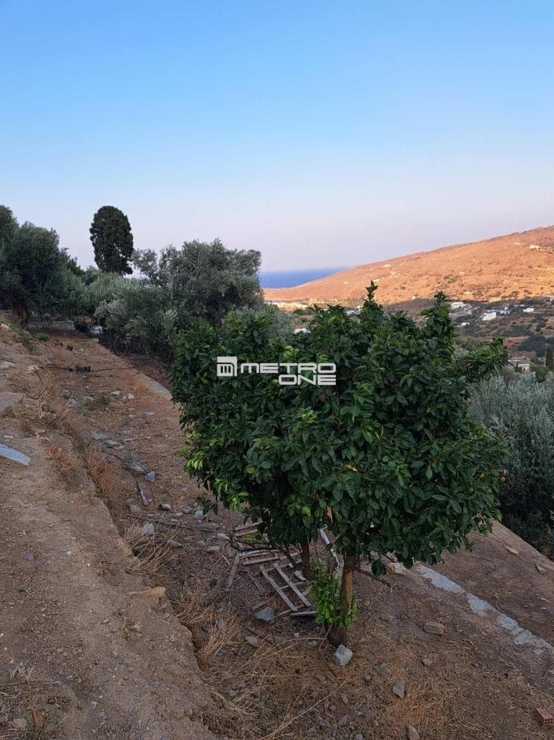Building Plot in Lamira, Andros — Photo 1 of 18