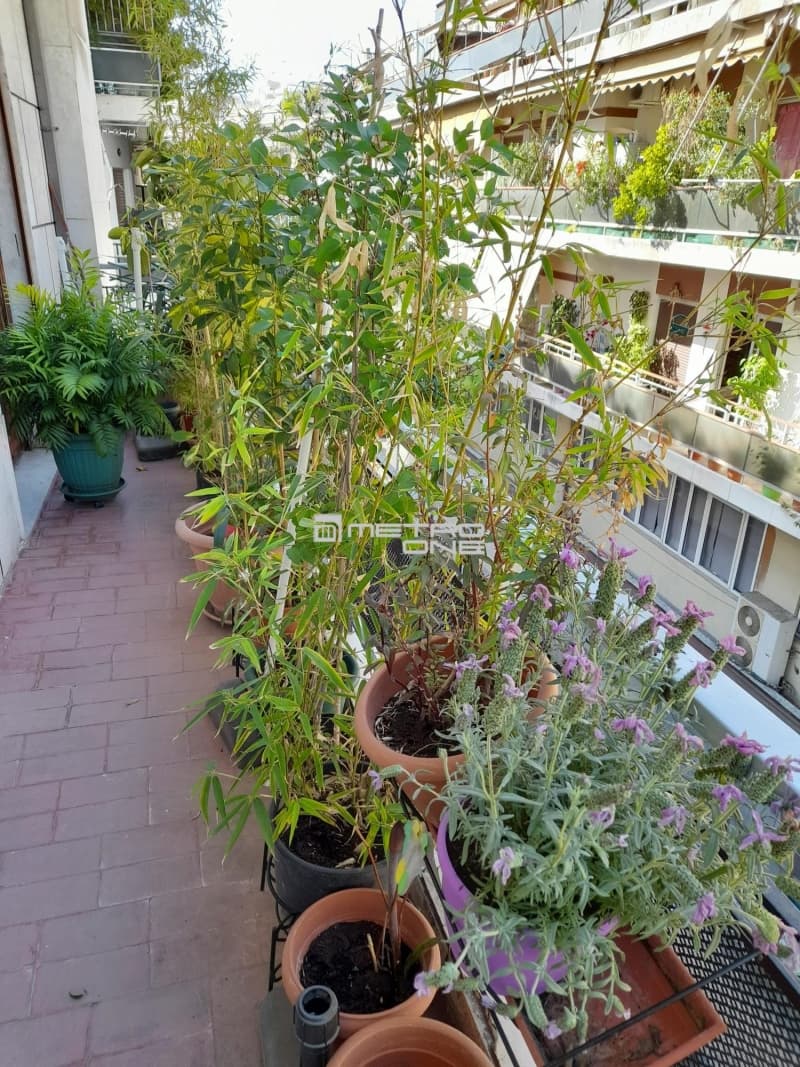 Διαμέρισμα στην Ευελπίδων, Πολύγωνο - Τουρκοβούνια — Φωτογραφία 16 από 18