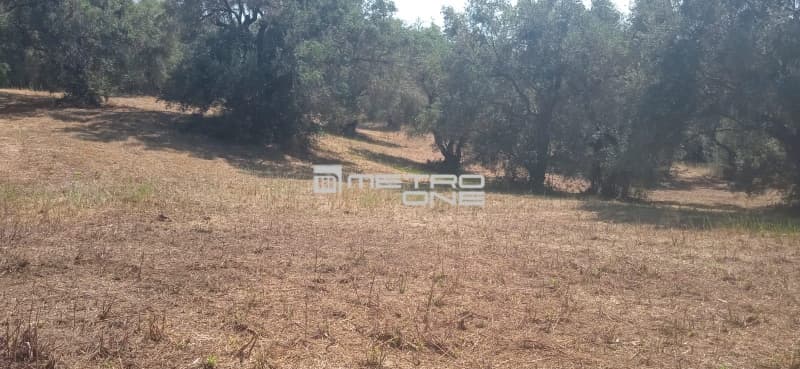 Building Plot in Αgios Georgios, Corfu — Photo 9 of 25
