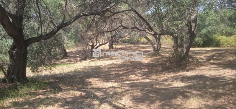 Building Plot in Αgios Georgios, Corfu — Photo 11 of 25