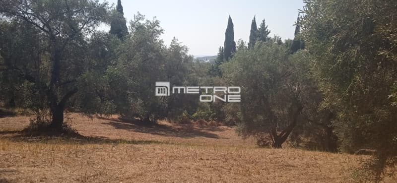 Building Plot in Αgios Georgios, Corfu — Photo 6 of 25