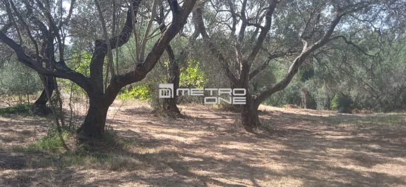 Building Plot in Αgios Georgios, Corfu — Photo 7 of 25