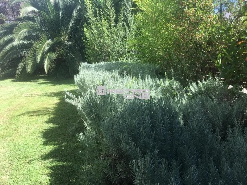 Μονοκατοικία στην Σωρός, Μαρούσι — Φωτογραφία 28 από 30