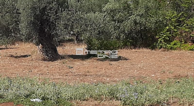 Οικόπεδο στην Αγία Τριάδα, Παιανία