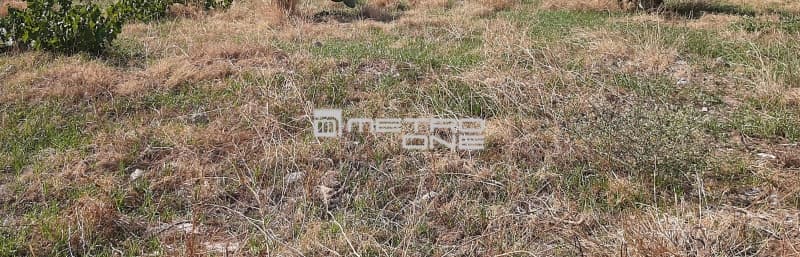 Οικόπεδο στην Αγία Τριάδα, Παιανία