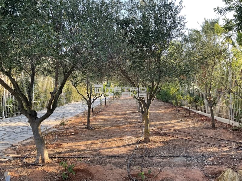 House in Ampelonas, Kalivia Thorikou — Photo 7 of 30