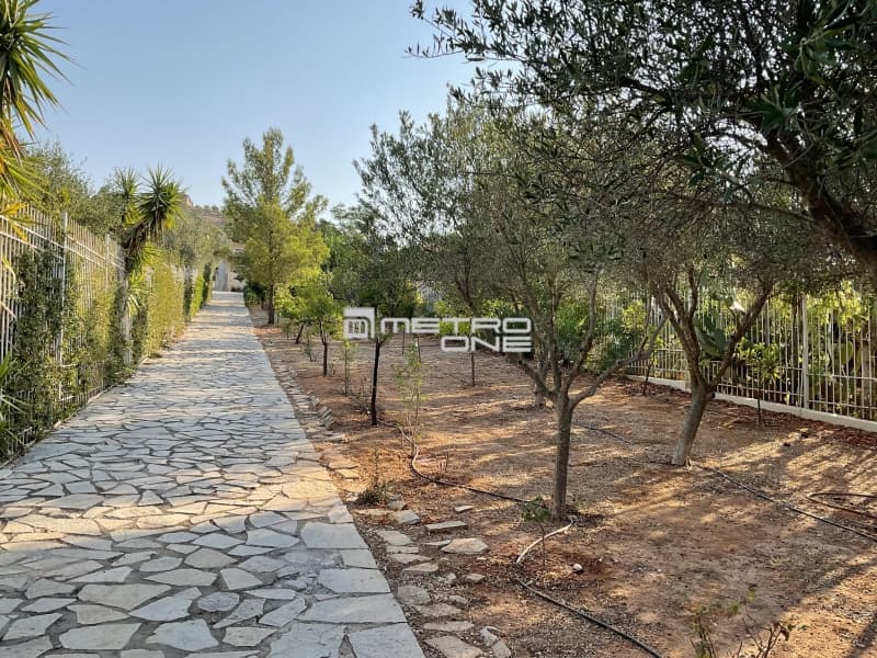 House in Ampelonas, Kalivia Thorikou — Photo 8 of 30