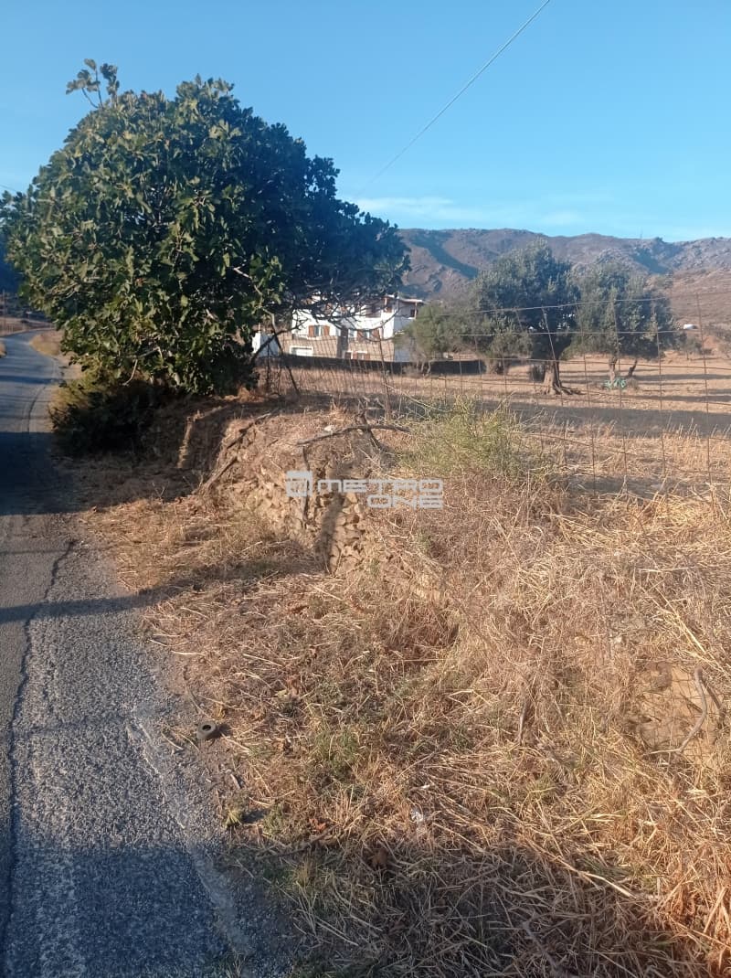 Parcel in Gavrio, Andros — Photo 2 of 3