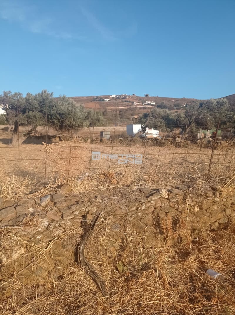 Parcel in Gavrio, Andros — Photo 3 of 3