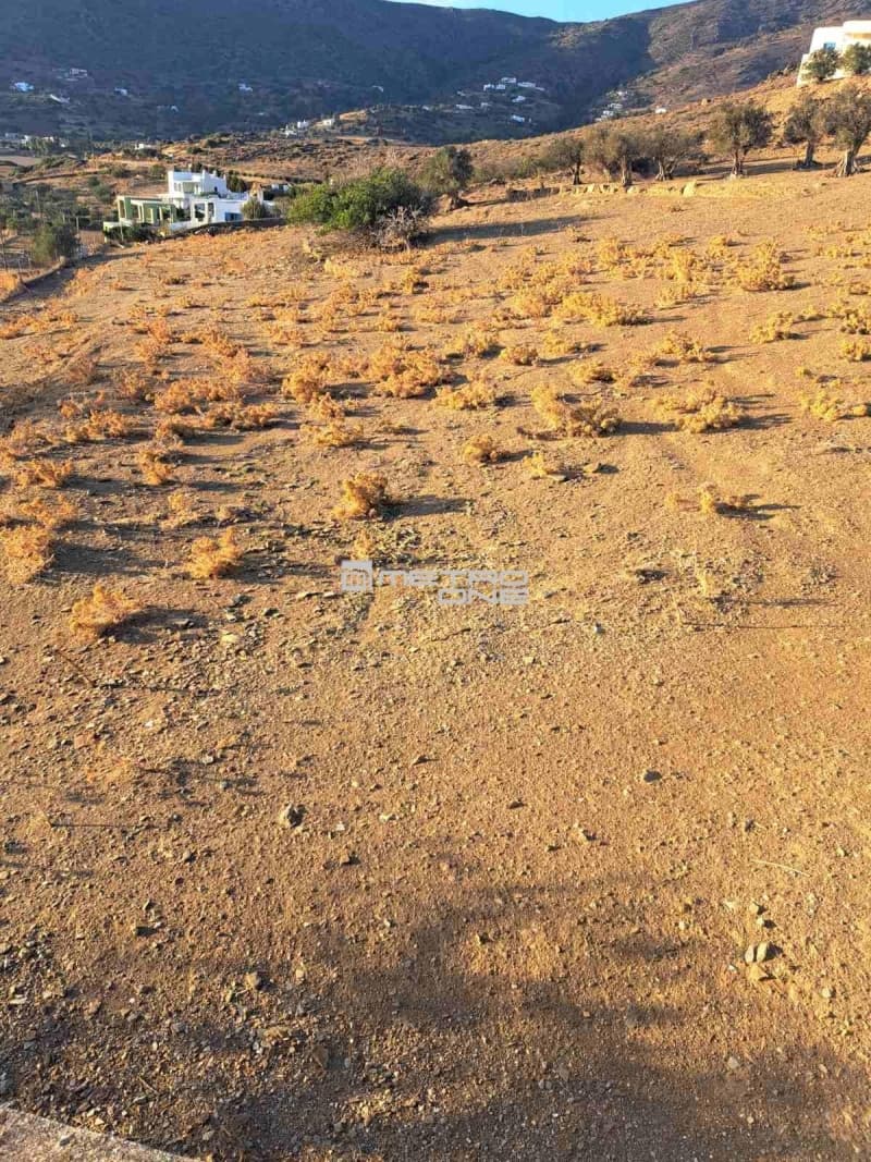 Parcel in Gavrio, Andros — Photo 3 of 3