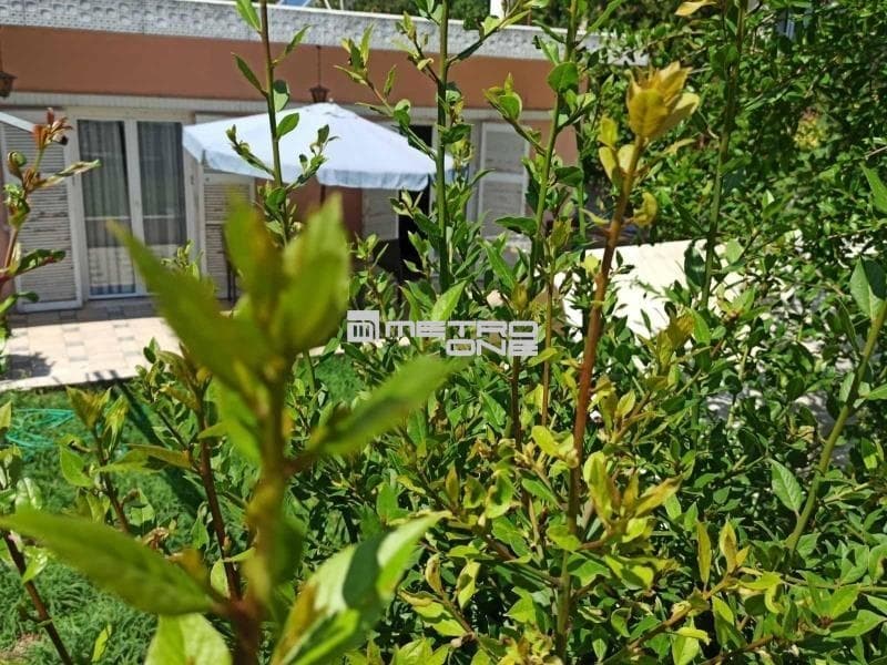 Οικόπεδο στην Δροσιά, Δροσιά — Φωτογραφία 4 από 19