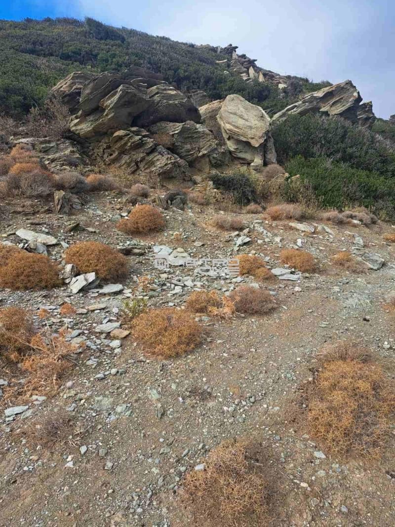 Parcel in Mpatsi, Andros — Photo 8 of 9