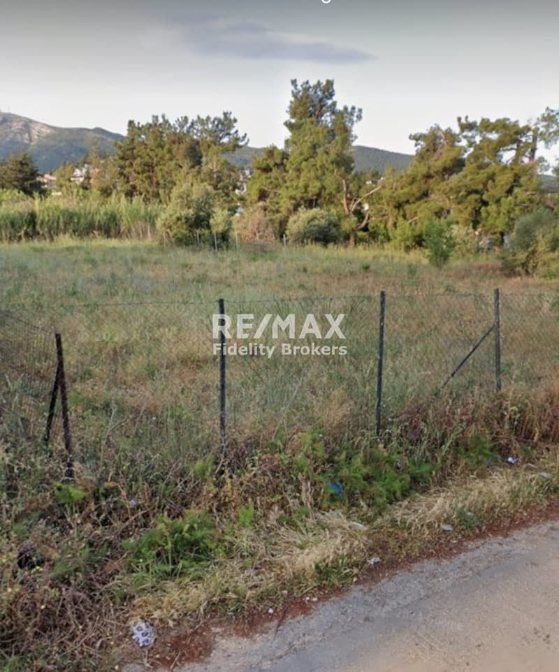 Building Plot in Rodopoli, Rodopoli — Photo 2 of 6