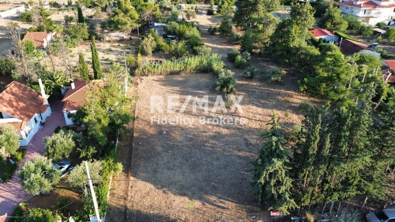 Building Plot in Rodopoli, Rodopoli — Photo 5 of 6